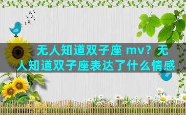 无人知道双子座 mv？无人知道双子座表达了什么情感